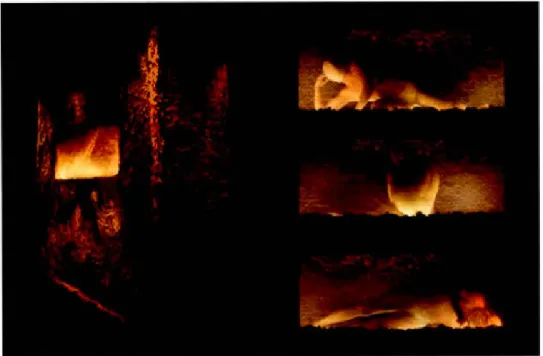 Figure  1.9  Sy l vie Chartrand ,  D e  la  t er r e  au visage  (performance),  2008