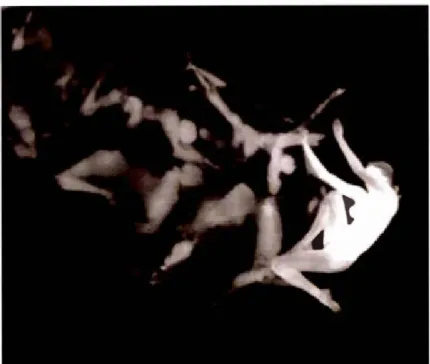 Figure 2.16  Thi e rr y  D e  M ey ,  R é manences , 2 010 . 