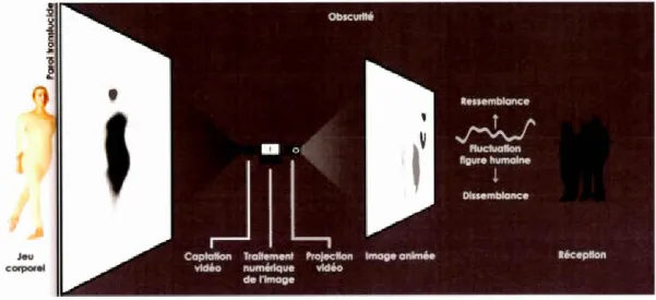 Figure 3.5  Sy l v i e C h a rtr a nd ,  op é r a tion s  du  l ra n s lu cidosco p e ,  2012 