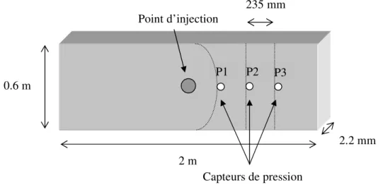 Figure II.12 : Equipement pour la mesure de perméabilité Point d’injection Capteurs de pression P1 P2  P3  2.2 mm mm 2 m 0.6 m 235 mm 