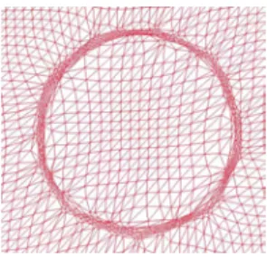Figure III.20 : Effet de l’adaptation sur le contour d’une fibre 