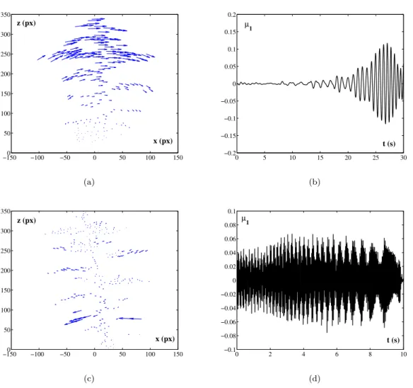 Figure 2.8 – (a), (c) : Topos et (b), (d) : Chronos correspondants au premier mode au sens de la BOD