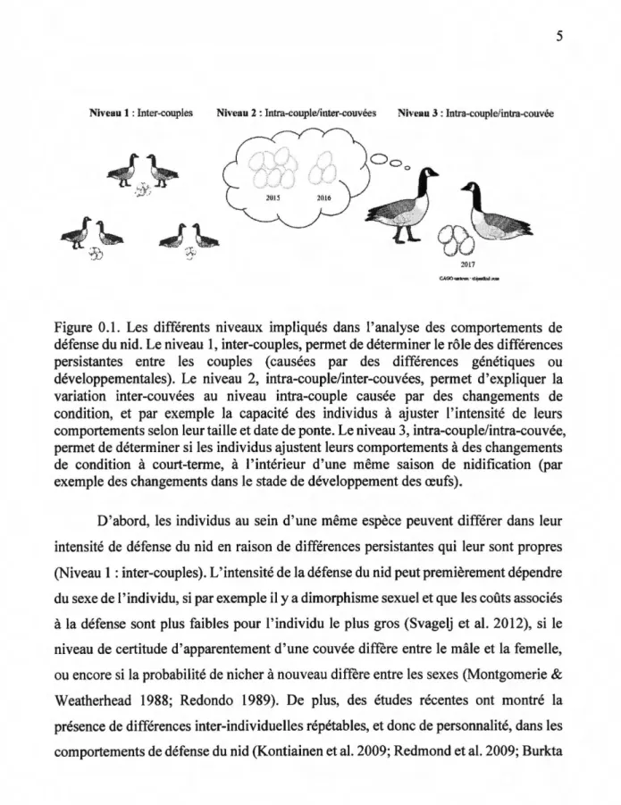 Figure  0.1.  Les  différents  niveaux  impliqués  dans  l'analyse  des  comportements  de  défense du nid