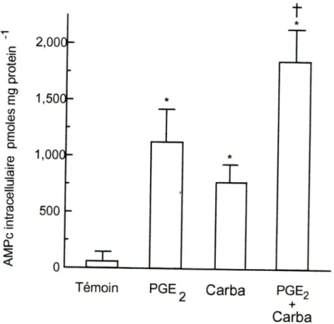 Figure 3  Effet de Carbaprostacycline et de PGE2 sur la production d'AMPe.