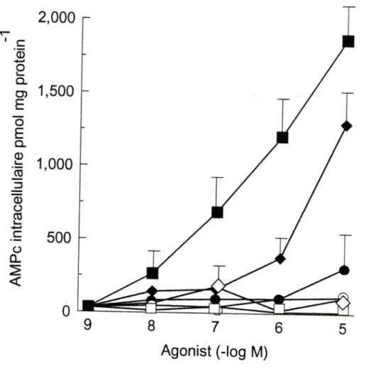 Figure 4 Production d'AMPc par les agonistes à la PGE2 chez les chondrocytes