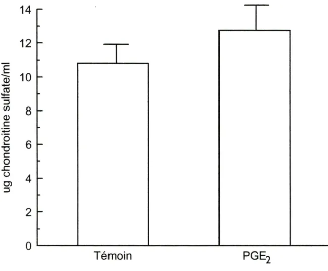 Figure 11  Production de glycosaminoglycans par les chondrocytes bovins