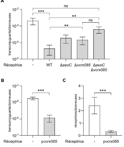 Figure 10.  Rôle de vcrx085 dans l’exclusion des plasmides IncC 