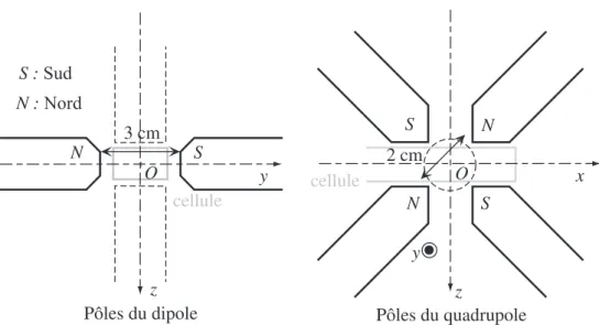 Fig. 2.17 – G´ eom´ etrie des pˆ oles r´ ealisant une configuration magn´ etique de type Ioffe-Pritchard pour l’´ electro-aimant de 2 e g´ en´ eration