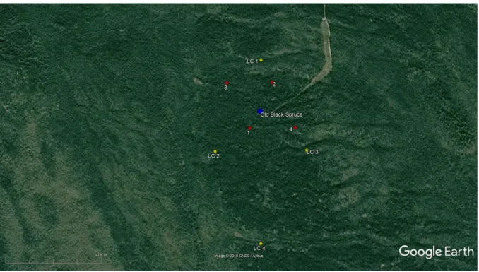 Figure 13 – Produit MODIS d’occupation du sol (points jaunes, résolution : 500m) et de NDVI