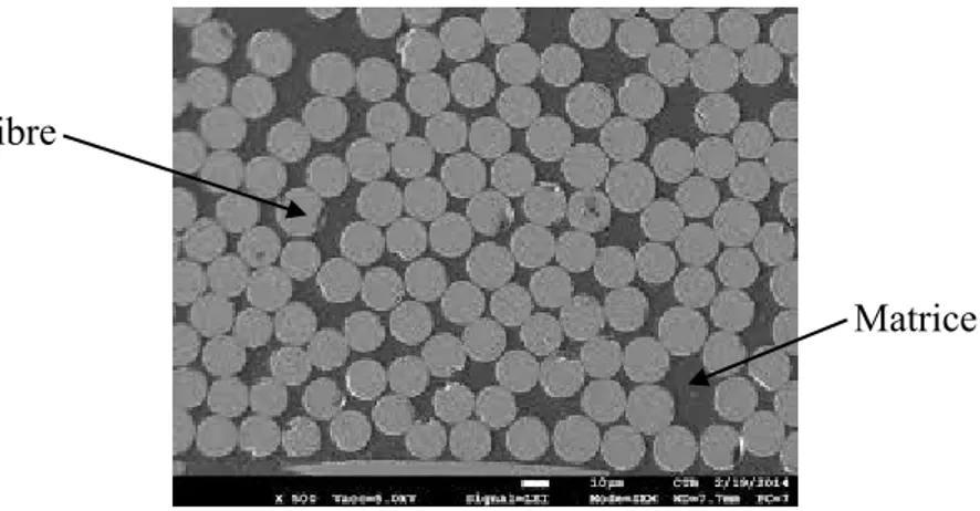 Figure 2.1: Microscopie d'un composite de fibre de verre et d'une matrice époxy   [VKC-Centexbel (2016)] 