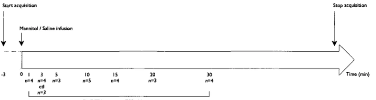 Figure 1. Schematic of the  imaging protocol used for the  experiments in group  1 to  study the  window in barrier modification  after BBBD