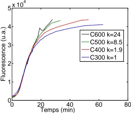 Figure  35  :  Superposition  des  mesures  de  fluorescence  au  cours  du  temps  comprimées  temporellement  d'un  facteur  k  pour les cinétiques C300 (bleu, k=1), C400 (rouge, k=1.9), C500 (vert, k=8.5) et C600 (noir, k=24)