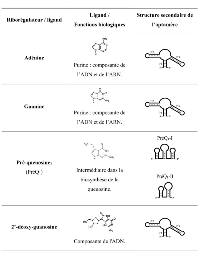 Tableau 1.1 Classes de riborégulateurs, leurs aptamères et leurs ligands 