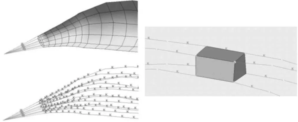 Figure 20 : Modélisation en éléments finis du muscle avec câbles actifs D'après Behr et coll., 2006 