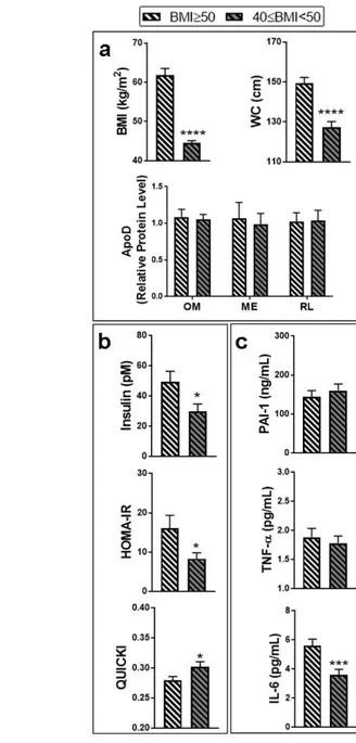 Figure 3. Metabolic profiles according to body mass index