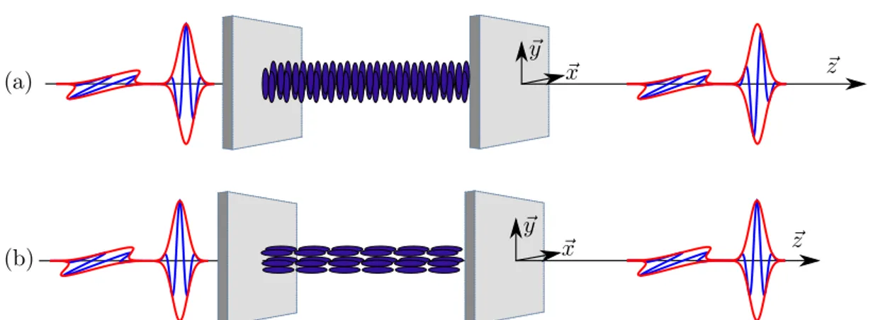 Figure 1.9: Effets des cristaux liquides nématiques parallèles sur les polarisations ~ x et ~