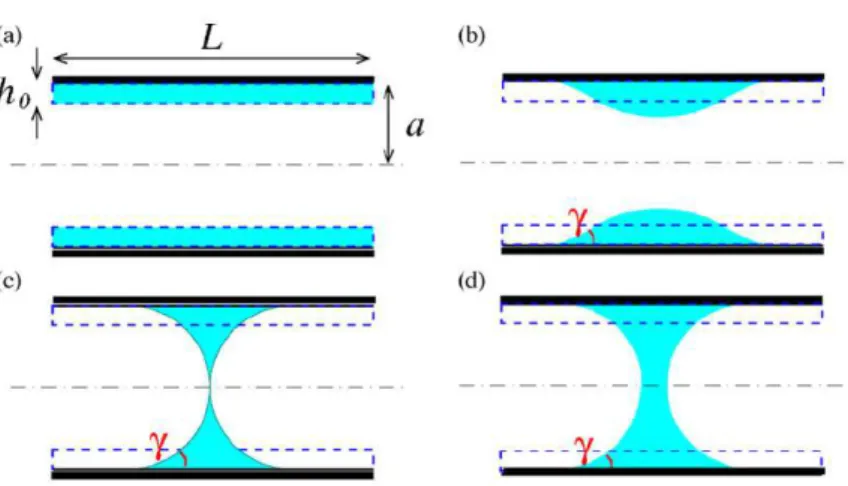 Figure 1.4: Four possible equilibrium states of liquid lining in an axisymmetric rigid airways: (a) an axially uniform ﬁlm of liquid; (b) an unduloid shaped interface; (c) a minimum liquid bridge; (d) a liquid plug of ﬁnite thickness