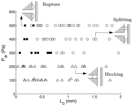 Figure 1.10: Phase diagram for the plug behavior at a T-bifurcation. Taken from (Ody et al., 2007).