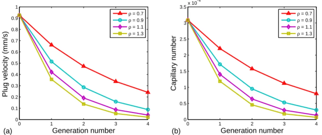 Figure 2.9: Symmetrical ﬂow with all the daughters moving, L 0 = 2 mm and Q dr = 2 µL/min.