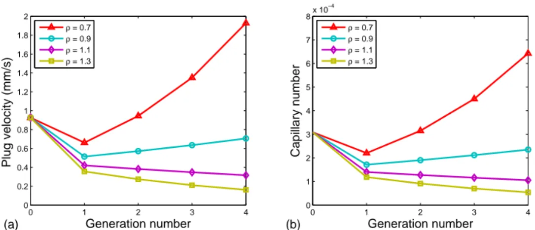 Figure 2.10: Asymmetrical ﬂow with only two daughters moving after generation 0, L 0 = 2 mm