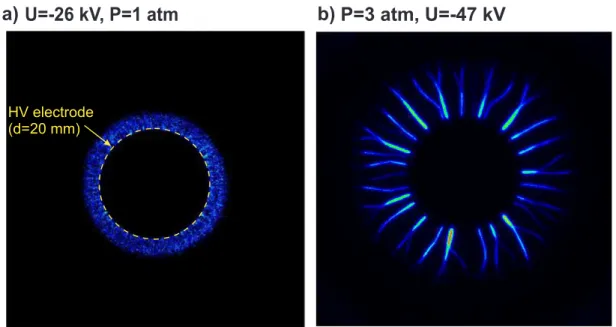 Figure 1.12: Streamer and filamentary nanosecond SDBD discharge. Camera gate 0.5 ns.