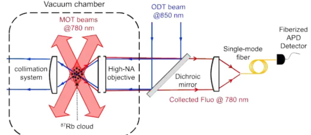 Figure 1.2: Sketch of a single atom experiment. A cloud of cold 87 Rb atoms is produced in