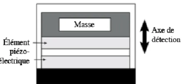 Figure 2 : Accéléromètre piézoélectrique 