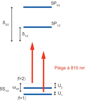 Figure II.7 – Le déplacement lumineux différentiel.