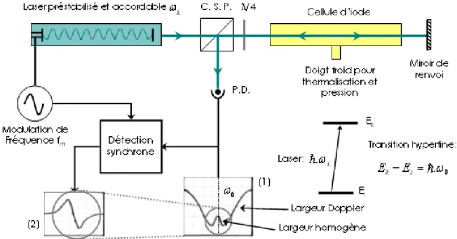 Figure  A-3 : Exemple de montage de spectroscopie d'absorption saturée utilisant des faisceaux sonde et saturant  contrapropagatifs (C