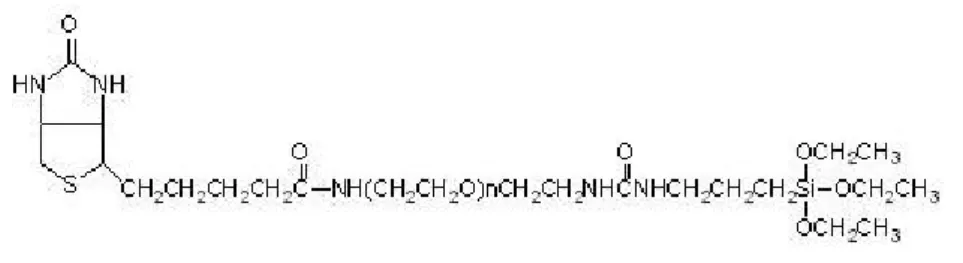 Figure 2.9  Structure du PEG sans biotine terminé par une fonction silane.