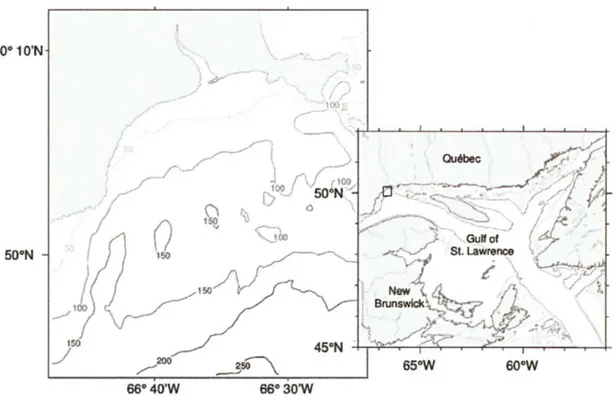 Figure  1.1  Map of the  Gulf of St.  Lawrence  (right)  with box indicating Baie Sainte-