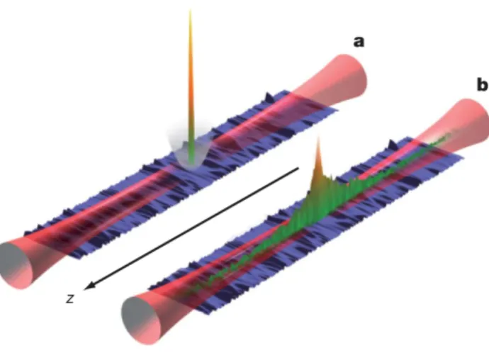 Figure 10: 1D Anderson Localization. Shown here are images from the realisation of 1D Anderson localized ultracold atoms [20]