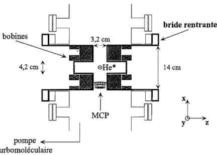 FIG. 2.2  Schéma du  centre de l'enceinte  ci  vide  utilisée pour  le  piégeage des  atomes