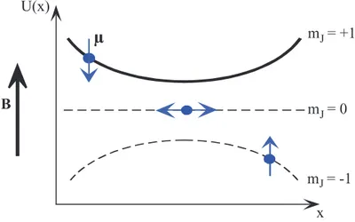 Figure 2.3: Potentials created by the interaction of the magnetic moment of an atom with an external magnetic field of harmonic shape