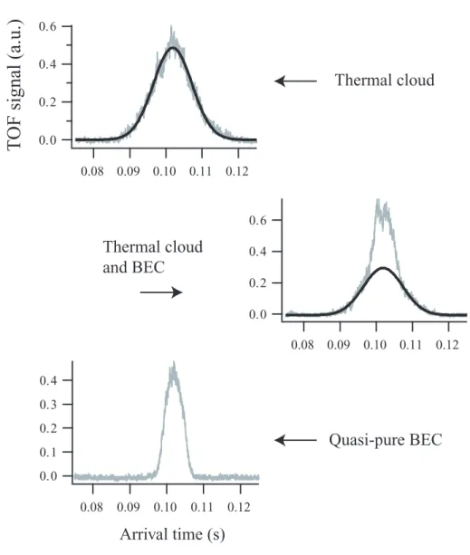 Figure 2.9: Example of three recorded TOF signals (gray curves), corre- corre-sponding to clouds released at different moments during the evaporative cooling