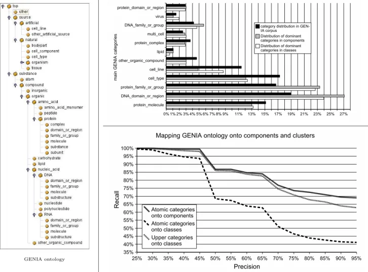 Fig. 3. Mapping GENIA categories onto TermWatch clusters.