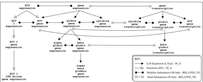 Fig. 1. Fragment of the conceptual hierarchy