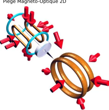 Figure 1.1: Géométrie des bobines et des faisceaux des pièges magnéto-optiques 2D et 3D