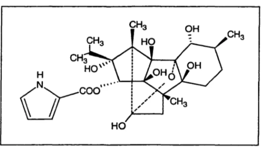 Figure 2- Représentation tridimensionnelle de la molécule de ryanodine. 