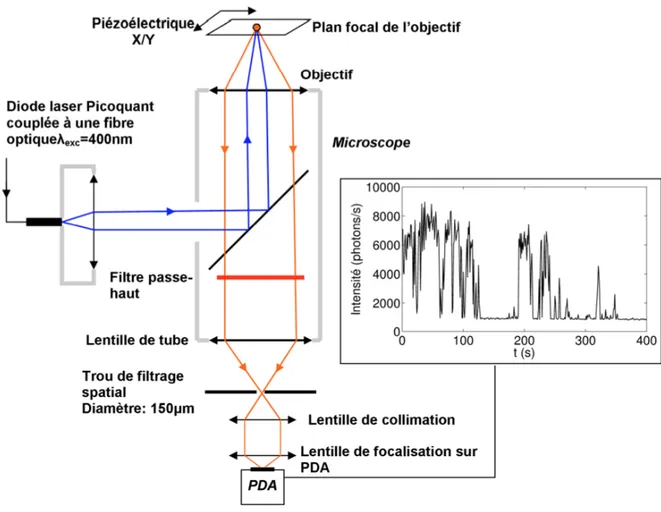 Figure 2.11  Schéma du montage &#34;start-stop&#34; de mesure des déclins temporels des QDs