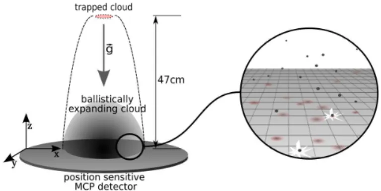 Figure 1.16: Schematic view of the experiment. A cold thermal cloud of He ∗ drops on a