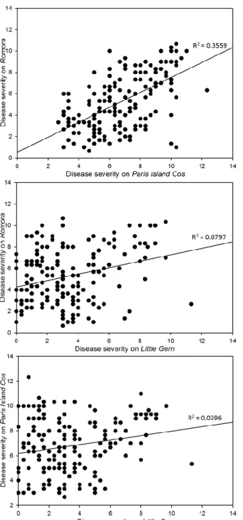 Figure 2.3. Correlation of disease severity caused by  X. hortorum pv. vitians isolates on  three lettuce cultivars