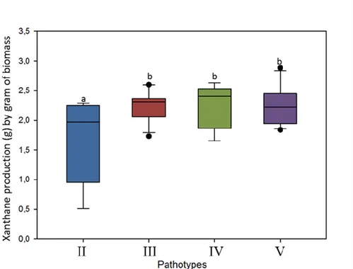 Figure 2.5. Xanthan production of X. hortorum pv. vitians isolates expressed in grams of  xanthan  produced  by  gram  of  biomass