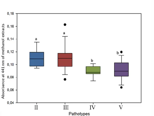 Figure 2.6. Xanthomonadins production of X. hortorum pv. vitians isolates expressed by  the absorbance at 441 nm of methanol extracts