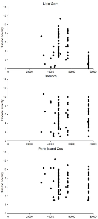 Figure 2.7. Disease severity on different lettuce cultivar based on approximate number of  nucleotide covered on reference B07-007 strain plasmid sequence