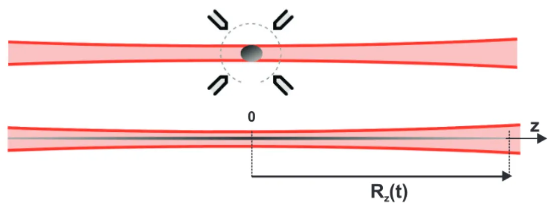 Fig. 1.14: Réalisation d’une onde de matière à partir d’un condensat en expansion dans le guide optique : a) initalement le condensat est obtenu dans le piège hybride de confinemement tranverse optique et de confinement longitudinal magnétique