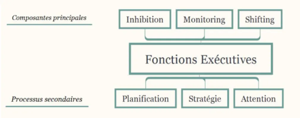 Figure 1 Cartographie des fonctions exécutives 