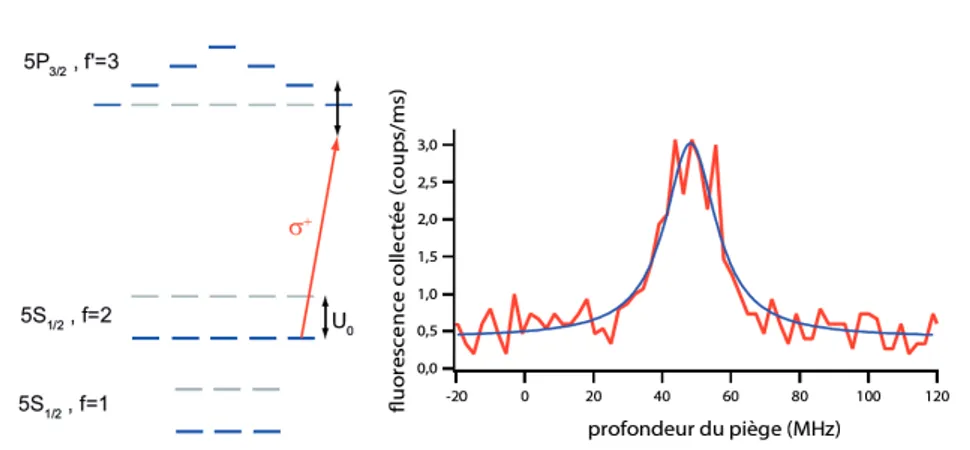 Figure 2.12  Mesure de la profondeur du piège dipolaire par uorescence. La uorescence obtenue en moyennant 500 expériences présente un prol lorentzien centré sur la profondeur du piège U 0 .