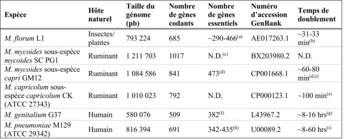 Tableau 1.2. Caractéristiques de différentes espèces de Mollicutes d’intérêt. 