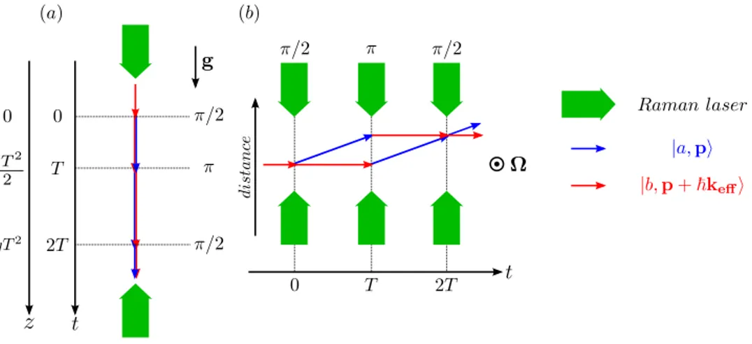 Figure 1.1  Principe de l'interféromètre de Ramsey-Bordé. (a) application à la réalisation d'un gravimètre ou d'un accéléromètre pour mesurer l'accélération g